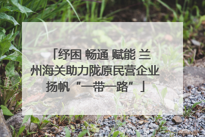纾困 畅通 赋能 兰州海关助力陇原民营企业扬帆“一带一路”