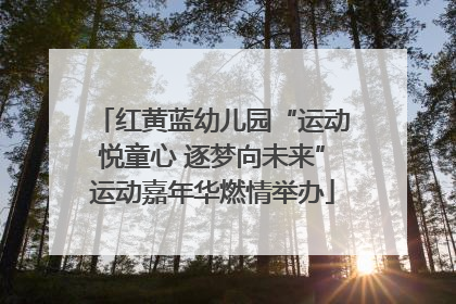 红黄蓝幼儿园“运动悦童心 逐梦向未来”运动嘉年华燃情举办