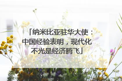 纳米比亚驻华大使：中国经验表明，现代化不光是经济腾飞