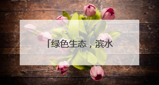 绿色生态，滨水休闲，青岛白沙河夏日展浪漫！