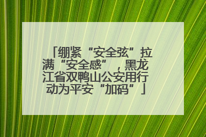 绷紧“安全弦”拉满“安全感”，黑龙江省双鸭山公安用行动为平安“加码”