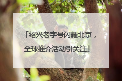 绍兴老字号闪耀北京，全球推介活动引关注