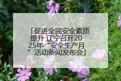 促进全民安全素质提升 辽宁召开2025年“安全生产月”活动新闻发布会