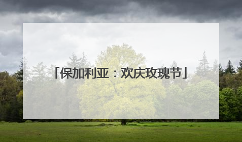 保加利亚：欢庆玫瑰节