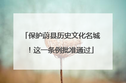 保护蔚县历史文化名城！这一条例批准通过