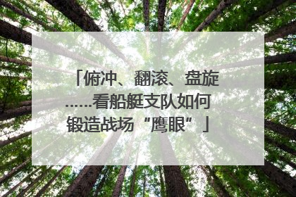 俯冲、翻滚、盘旋……看船艇支队如何锻造战场“鹰眼”