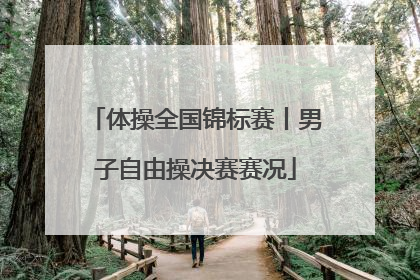 体操全国锦标赛丨男子自由操决赛赛况