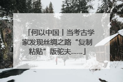 何以中国丨当考古学家发现丝绸之路“复制粘贴”版驼夫……