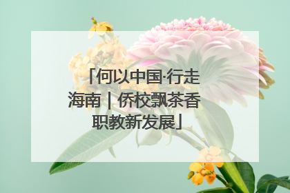 何以中国·行走海南｜侨校飘茶香 职教新发展