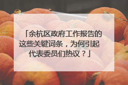 余杭区政府工作报告的这些关键词条，为何引起代表委员们热议？