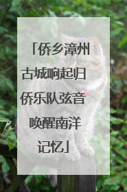 侨乡漳州古城响起归侨乐队弦音 唤醒南洋记忆