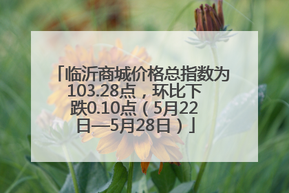 临沂商城价格总指数为103.28点，环比下跌0.10点（5月22日—5月28日）