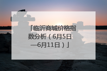 临沂商城价格指数分析（6月5日—6月11日）