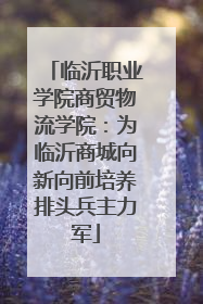 临沂职业学院商贸物流学院：为临沂商城向新向前培养排头兵主力军