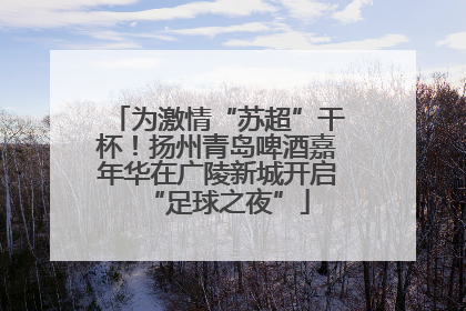 为激情“苏超”干杯！扬州青岛啤酒嘉年华在广陵新城开启“足球之夜”