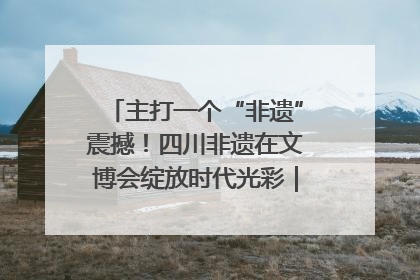 主打一个“非遗”震撼！四川非遗在文博会绽放时代光彩｜文博向“新”