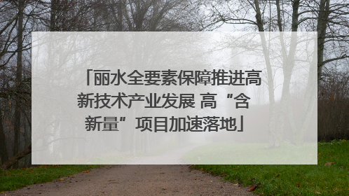 丽水全要素保障推进高新技术产业发展 高“含新量”项目加速落地