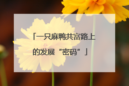 一只麻鸭共富路上的发展“密码”