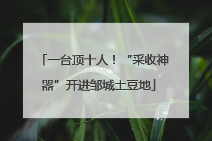 一台顶十人！“采收神器”开进邹城土豆地