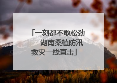 一刻都不敢松劲——湖南桑植防汛救灾一线直击