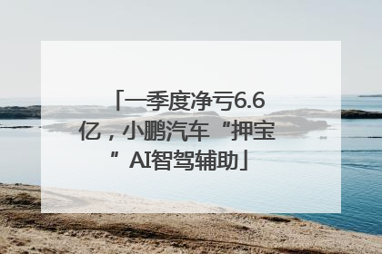一季度净亏6.6亿，小鹏汽车“押宝”AI智驾辅助