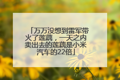 万万没想到雷军带火了莲藕，一天之内卖出去的莲藕是小米汽车的22倍