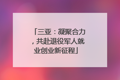 三亚：凝聚合力，共赴退役军人就业创业新征程