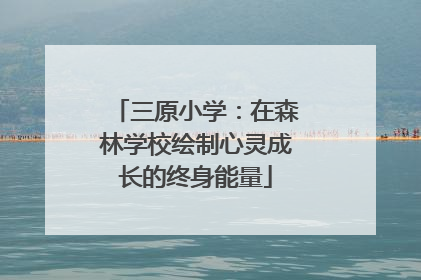 三原小学：在森林学校绘制心灵成长的终身能量