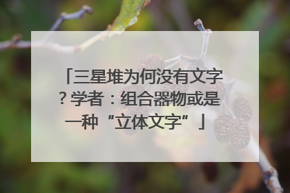 三星堆为何没有文字？学者：组合器物或是一种“立体文字”