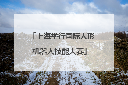 上海举行国际人形机器人技能大赛