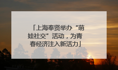上海奉贤举办“萌娃社交”活动，为青春经济注入新活力