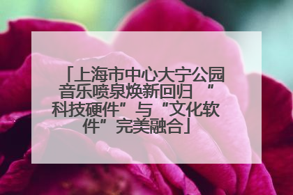 上海市中心大宁公园音乐喷泉焕新回归 “科技硬件”与“文化软件”完美融合