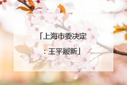 上海市委决定：王平履新