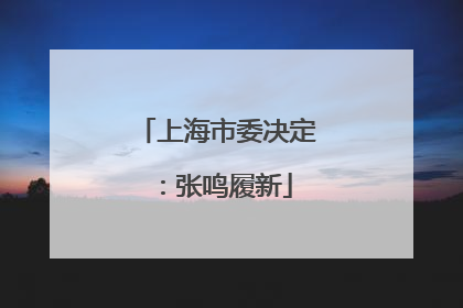 上海市委决定：张鸣履新