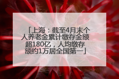 上海：截至4月末个人养老金累计缴存金额超180亿，人均缴存额约1万居全国第一