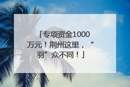 专项资金1000万元！荆州这里，“羽”众不同！