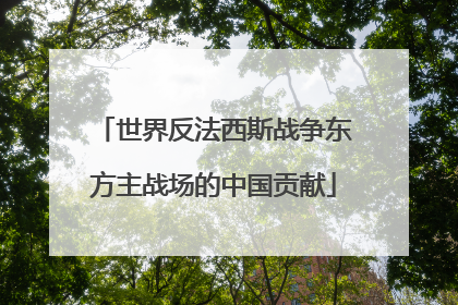 世界反法西斯战争东方主战场的中国贡献