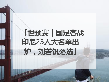 世预赛｜国足客战印尼25人大名单出炉，刘若钒落选