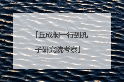 丘成桐一行到孔子研究院考察