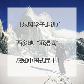 东盟学子走进广西多地“沉浸式”感知中国式民主