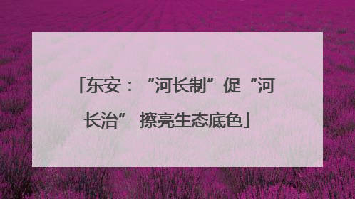 东安：“河长制”促“河长治” 擦亮生态底色