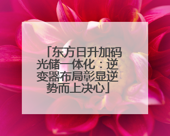 东方日升加码光储一体化：逆变器布局彰显逆势而上决心