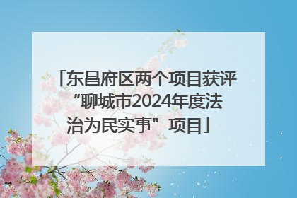 东昌府区两个项目获评“聊城市2024年度法治为民实事”项目