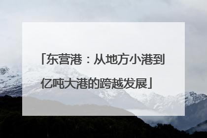 东营港：从地方小港到亿吨大港的跨越发展