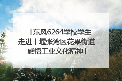 东风6264学校学生走进十堰张湾区花果街道感悟工业文化精神