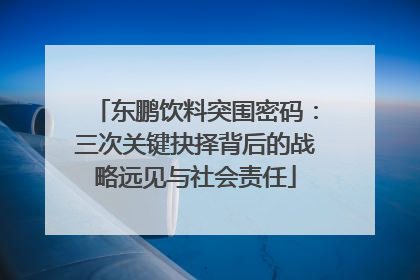 东鹏饮料突围密码：三次关键抉择背后的战略远见与社会责任