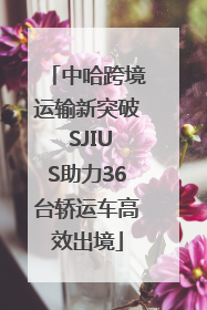 中哈跨境运输新突破 SJIUS助力36台轿运车高效出境