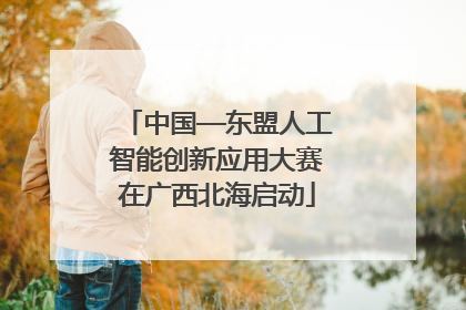 中国—东盟人工智能创新应用大赛在广西北海启动