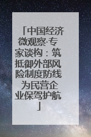 中国经济微观察·专家谈构：筑抵御外部风险制度防线 为民营企业保驾护航