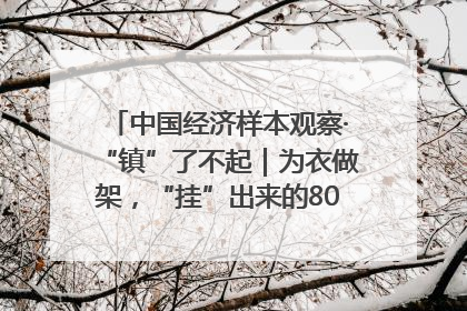中国经济样本观察·“镇”了不起｜为衣做架，“挂”出来的80亿元“衣架产业”